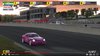 0190 iRace V15 #14 Pink Panther.JPG (102.7 KiB) Viewed 118355 times #14 passing the pits