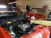 DSC01982.JPG