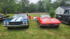 20230708_120640.jpg