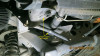 Bent radiator support bracket (Medium).jpg