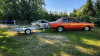 20240811_091758.jpg