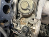 plenty of junk sitting on the intake - mouse and or chipmunks were here