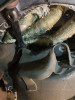 control arms 3-15-25.jpg