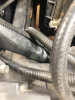 4-19-25 lower rad hose.jpg